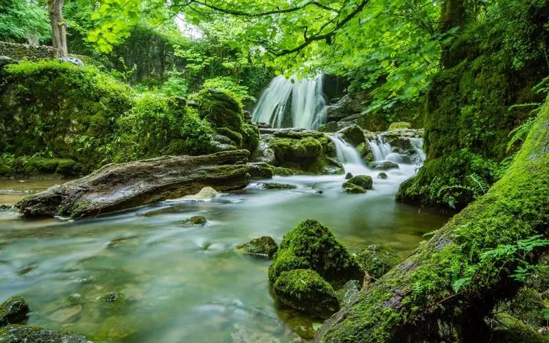电子独特高端